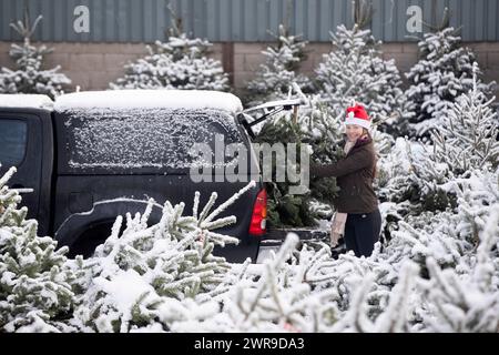 29/11/21, con la scuola chiusa a causa del tempo nevoso, la tredicenne Devan Ibbs aiuta a caricare gli alberi di Natale innevati nel nonno» Foto Stock