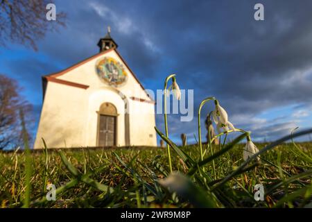 Abendstimmung im Taunus die Abendsonne scheint auf Schneeglöckchen vor der St Gertrudis-Kapelle a Oberreifenberg., Schmitten Hessen Deutschland *** atmosfera serale nel Taunus il sole della sera splende sulle nevicate di fronte alla Basilica di San Cappella Gertrudis a Oberreifenberg , Schmitten Assia Germania Foto Stock