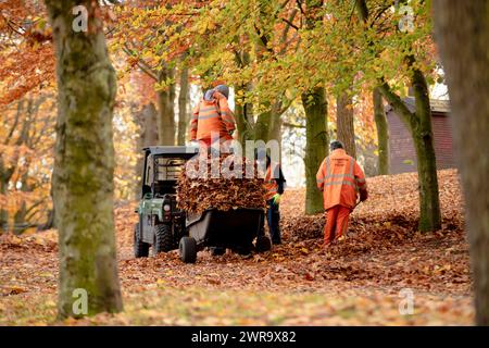 18/11/21 armato solo di rastrelli e rastrelli , i lavoratori del Consiglio comunale di Birmingham liberano le foglie dai 55 acri di Aston Park nel centro di Birmingham An Foto Stock