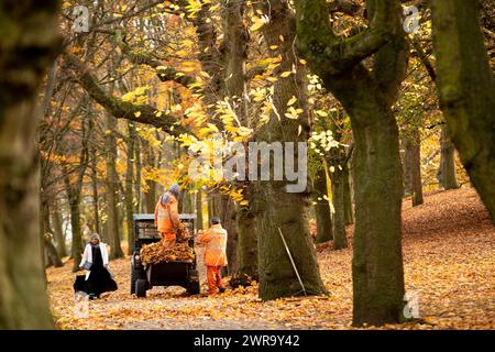 18/11/21 armato solo di rastrelli e rastrelli , i lavoratori del Consiglio comunale di Birmingham liberano le foglie dai 55 acri di Aston Park nel centro di Birmingham An Foto Stock