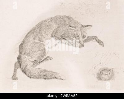 Fox che caccia un coniglio, stampatore: Charles Verlat, 1834 - 1890, carta, incisione, altezza 194 mm x larghezza 249 mm, stampa Foto Stock