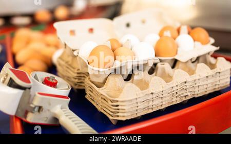 Uova in un negozio di cernita modernizzato Foto Stock