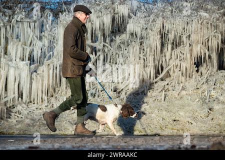 10/02/21 Nick Taylor cammina su springer spaniel, Chester, davanti a un riccio incastrato in ghiaccioli giganti che si sono formati durante la notte a Ellastone, sul Derbyshire St Foto Stock