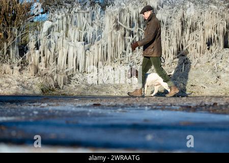 10/02/21 Nick Taylor cammina su springer spaniel, Chester, davanti a un riccio incastrato in ghiaccioli giganti che si sono formati durante la notte a Ellastone, sul Derbyshire St Foto Stock