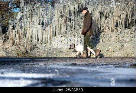 10/02/21 Nick Taylor cammina su springer spaniel, Chester, davanti a un riccio incastrato in ghiaccioli giganti che si sono formati durante la notte a Ellastone, sul Derbyshire St Foto Stock