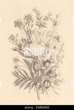 Bouquet da campo, bouquet da campo con Iris, Buttercup, Violets, Speedwell e Forget-me-nots. La stampa fa parte di un album., stampatore: Anonimo, editore: Adriaan Pietersz. Loosjes, Haarlem, 1805, carta, incisione, incisione, altezza 244 mm x larghezza 151 mm, altezza 219 mm x larghezza 152 mm, stampa Foto Stock