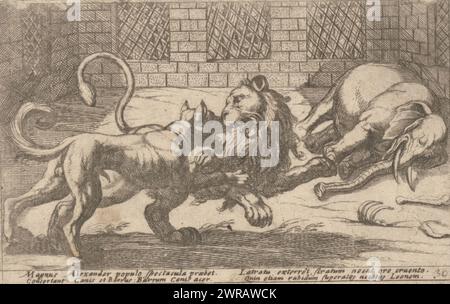 Un cane, un leone e un elefante in una gabbia, varie scene di caccia e combattimento (titolo della serie), Venationes Ferarum, Avium, Piscium Pugnae bestiariorum: Et mutuae bestiarum (titolo della serie), Vista in una gabbia con un elefante morto, un cane da combattimento e un leone. Testo in latino a margine inferiore., tipografo: Antonio tempesta, editore: Giovanni Domenico de'Rossi, Antonio Ubertino, tipografo: Italia, editore: Roma, Italia, 1605, carta, incisione, altezza 93 mm x larghezza 147 mm, stampa Foto Stock