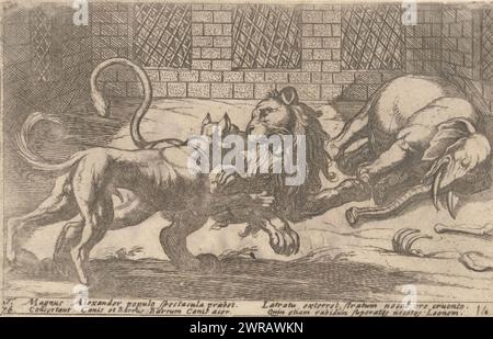 Cane, leone ed elefante in gabbia, varie scene di caccia e combattimento (titolo della serie), Venationes Ferarum, Avium, Piscium Pugnae bestiariorum: Et mutuae bestiarum (titolo della serie), Vista in una gabbia con un elefante morto, un cane da combattimento e un leone. Testo in latino a margine inferiore., tipografo: Antonio tempesta, editore: Giovanni Domenico de'Rossi, Antonio Ubertino, tipografo: Italia, editore: Roma, Italia, 1605, carta, incisione, altezza 93 mm x larghezza 147 mm, stampa Foto Stock