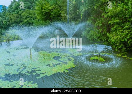 Laghetto con fontane che creano spruzzi sulle ninfee e sulla vegetazione lussureggiante, in Corea del Sud Foto Stock