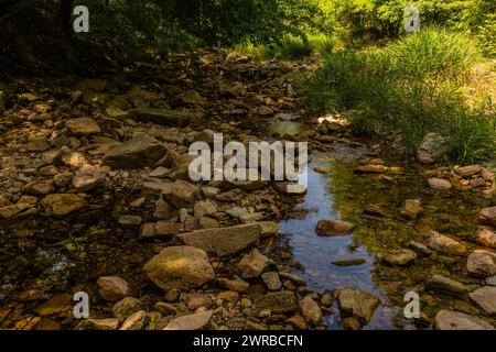 Ruscello roccioso che scorre dolcemente con acqua limpida, circondato da ombre e macchie di verde, in Corea del Sud Foto Stock