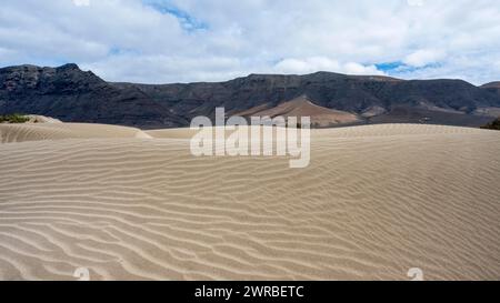 Paesaggio dune, dune, Playa de Famara, Lanzarote, Isole Canarie, Spagna Foto Stock