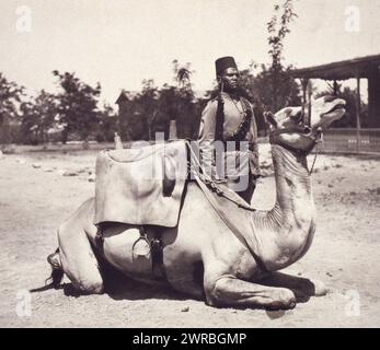 Sudan anglo-egiziano - cammello soldato delle forze native dell'esercito britannico, la fotografia mostra un soldato in piedi accanto a un cammello., Carpenter, Frank G. (Frank George), 1855-1924, fotografo, tra il 1900 e il 1920, Gran Bretagna., Esercito, popolo, sudanese, Sudan, 1900-1920, Photographic Prints, 1900-1920., Portrait Photographs, 1900-1920, stampe fotografiche, 1900-1920, 1 stampa fotografica Foto Stock