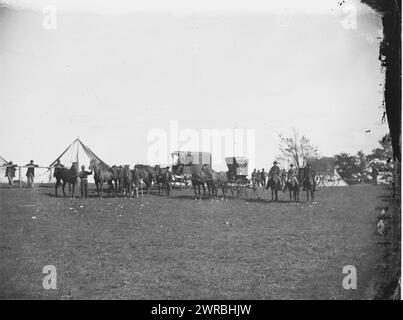 Virginia. Esercito del Potomac. Carri e cavalli assegnati al reparto riparazioni incaricato del capitano Pierce, o'Sullivan, Timothy H., 1840-1882, fotografo, 1863 sett., Stati Uniti, storia, Guerra civile, 1861-1865, negativi in vetro, 1860-1870, stereografi, 1860-1870, 1 negativo: vetro, stereografo, collodion bagnato, 4 x 10 pollici Foto Stock