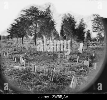 Richmond, Virginia Tombe dei soldati confederati nel cimitero di Oakwood, con cartelli, fotografia dal principale teatro di guerra orientale, Fallen Richmond, aprile-giugno 1865., 1865., Stati Uniti, storia, Guerra civile, 1861-1865, Cimiteri, negativi di vetro, 1860-1870, stereografi, 1860-1870, 1 negativo: vetro, stereografo, collodion umido, 4 x 10 Foto Stock