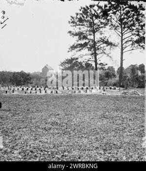 Charleston, South Carolina (nelle vicinanze). Graves of Federal Soldiers, 1865 aprile, Stati Uniti, storia, Guerra civile, 1861-1865, negativi di vetro, 1860-1870., stereografi, 1860-1870, negativi di vetro, 1860-1870, 2 negativi (3 piastre): vetro, stereografo, collodion umido Foto Stock