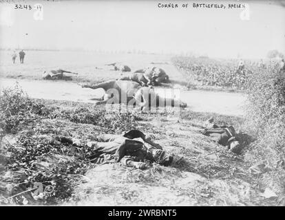 Angolo del campo di battaglia, Haelen, la fotografia mostra soldati e cavalli morti in un campo dopo la battaglia di Haelen, combattuta dagli eserciti tedeschi e belgi il 12 agosto 1914 nei pressi di Haelen, Belgio durante la prima guerra mondiale, 1914, guerra mondiale, 1914-1918, Glass negatives, 1 negativo: vetro Foto Stock