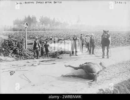 Belg.cioè, Belgio, seppellire cavalli dopo la battaglia, la fotografia mostra persone che guardano un cavallo morto sulla strada dopo la battaglia di Haelen, combattuta dagli eserciti tedeschi e belgi il 12 agosto 1914 nei pressi di Haelen, Belgio durante la prima guerra mondiale, 1914, guerra mondiale, 1914-1918, Glass negatives, 1 negativo: vetro Foto Stock