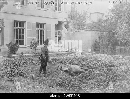 African chasseur & HIS Wounded Horse, fotografie e soldato di cavalleria africana con il suo cavallo morente, probabilmente in Francia durante la prima guerra mondiale, 1914, guerra mondiale, 1914-1918, Glass negatives, 1 negativo: vetro Foto Stock