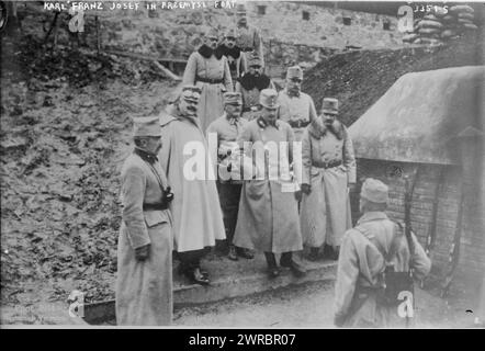 Karl Franz Josef nel forte di Przemysl, la fotografia mostra Karl Franz Joseph (Carlo i d'Austria) (1887-1922) visitando la fortezza di Przemysl, Przemysl, Impero austro-ungarico (ora in Polonia) durante la prima guerra mondiale, 1914, guerra mondiale, 1914-1918, negativi di vetro, 1 negativo: vetro Foto Stock