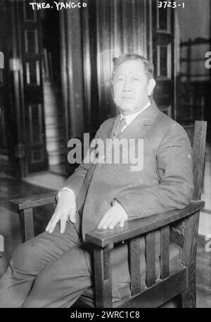 Theo Yangco, la fotografia mostra Teodoro Rafael Yangco (1861-1939) che era un uomo d'affari dalle Filippine e Commissario residente delle Filippine al Congresso degli Stati Uniti dal 1917 al 1920., tra il 1879 e il 1879. 1910 e ca. 1920, Glass negative, 1 negativo: Glass Foto Stock