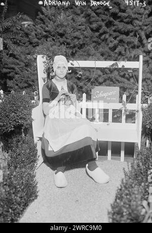 Adriana Van Drooge, la fotografia mostra una giovane donna vestita con un costume olandese, seduta su una panchina con un cartello con la scritta "Scheepers New York" al marzo 1918 International Flower Show al Grand Central Palace di New York. The John Scheepers Company vende bulbi di fiori., 1918 marzo 15, Glass negative, 1 negative: Glass Foto Stock