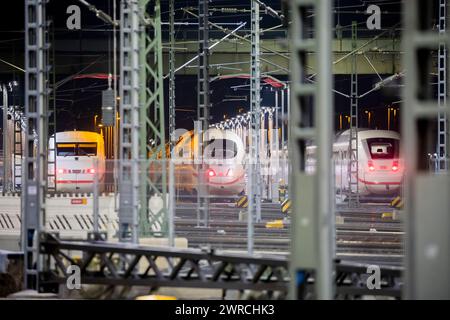 Berlino, Germania. 12 marzo 2024. I treni sono parcheggiati presso il deposito DI GHIACCIO di Rummelsburg. L'Unione tedesca dei macchinisti (GDL) ha chiesto un altro sciopero di 24 ore nella controversia sulla contrattazione collettiva presso la Deutsche Bahn nel trasporto di passeggeri e merci. Crediti: Christoph Soeder/dpa/Alamy Live News Foto Stock