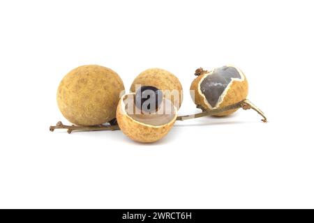 Frutti longan sul ramo, uno dei frutti è aperto, mostrando il suo seme nero all'interno, frutto dell'occhio di drago o bao longan Foto Stock