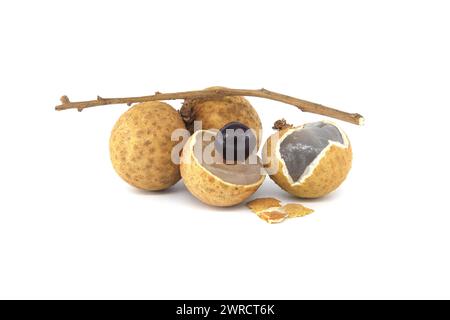 Frutti longan sul ramo, uno dei frutti è aperto, mostrando il suo seme nero all'interno, frutto dell'occhio di drago o bao longan Foto Stock