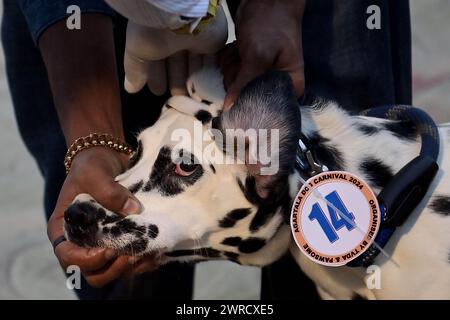 I giudici stanno controllando i cani durante l'Agartala Dog Carnival-2024, organizzato dalla Tripura Veterinary Doctors Association & Pawsome (Un'organizzazione sociale) ad Agartala. Tripura, India. Foto Stock