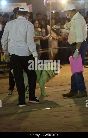 I giudici stanno controllando i cani durante l'Agartala Dog Carnival-2024, organizzato dalla Tripura Veterinary Doctors Association & Pawsome (Un'organizzazione sociale) ad Agartala. Tripura, India. Foto Stock