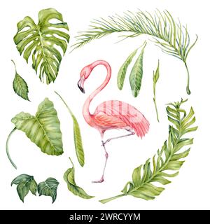 Acquerello dipinto a mano con foglie tropicali e uccello fenicottero. Elementi su sfondo trasparente. Illustrazione botanica naturale per matrimonio, bi Foto Stock