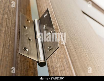 Primo piano di una cerniera su una porta interna in legno con inserti in vetro. Foto Stock