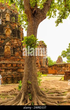 Rovine di un vecchio muro di mattoni nel Religious Historical Park. Wat Phra RAM nel periodo Ayutthaya era la capitale. scenario con nuvola bianca in blu sk Foto Stock