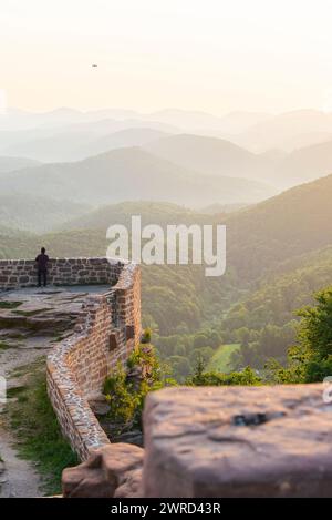 Un giovane con un drone fotografa l'alba sulle rovine del castello di Wegelnburg e della foresta del Palatinato, Renania-Palatinato, Germania Foto Stock
