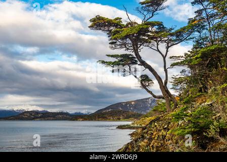 Bahia Ensenada Zaratiegui, Parco Nazionale Terra del fuoco, Patagonia, Argentina Foto Stock