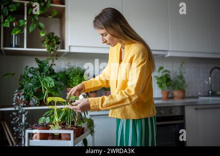 Donna giardiniera attenta amanti piante si prende cura delle piante d'appartamento in vaso. Coltivare piante da interno a casa. Foto Stock