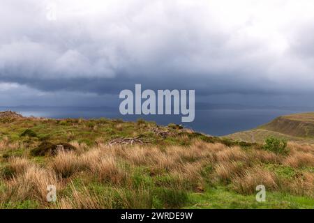 Le erbe selvatiche della costa dell'Isola di Skye si piegano alla volontà del vento sotto un cielo drammatico e tempestoso, con un'occhiata a coste lontane sotto la tempesta Foto Stock