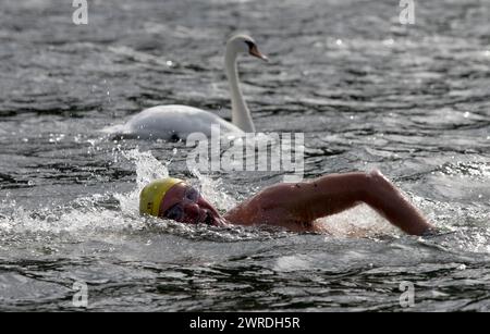 29/08/15 Kevin Walsh passa un cigno all'inizio della gara. Forti venti di coda stanno aiutando a battere il suo tempo obiettivo di cinque ore e mezza. Compl Foto Stock