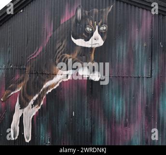 Fotografia di Street art conosciuta anche come graffiti a Reykjavik, Islanda. Un gatto che salta sul lato di una cappa di ferro ondulato. Foto Stock