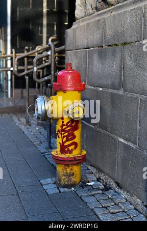 Fotografia di Street art conosciuta anche come graffiti a Reykjavik, Islanda, su un idrante del fuoco. Foto Stock