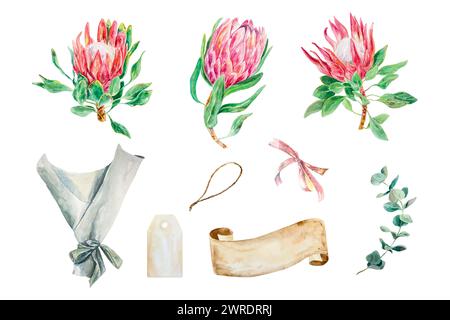 Acquerello Protea, banner per testo, ramo eucalipto, set. Illustrazione vettoriale di fiori rosa. Elemento di design per carte, inviti di nozze, banner Illustrazione Vettoriale