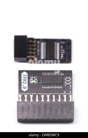 Due tipi di chip modulo TPM per schede madri Foto Stock