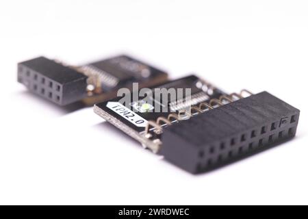 Due tipi di chip modulo TPM per schede madri Foto Stock