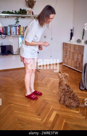 una giovane donna allena il suo cockapoo Foto Stock