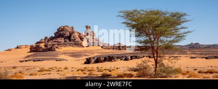 Paesaggio del Red Tadrart nel deserto del Sahara, Algeria. Un albero solitario e, sullo sfondo, una formazione rocciosa sembra rappresentare un uccello in prof Foto Stock