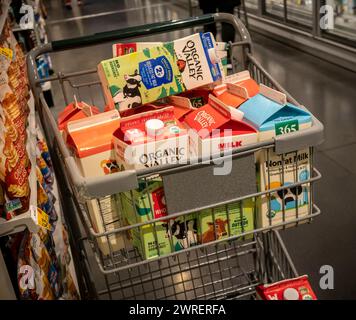 Una selezione di latte biologico di marca Organic Valley e Whole Foods 365 in un carrello un supermercato in attesa di essere rifornito a New York sabato 9 marzo 2024. (© Richard B. Levine) Foto Stock