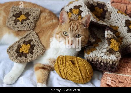 Simpatico gatto dello zenzero che si stende sul letto con una palla di filato e un gancio all'uncinetto. Gatto che gioca con l'ornamento all'uncinetto. Foto autunnale accogliente. Foto Stock