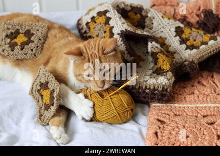 Simpatico gatto dello zenzero che si stende sul letto con una palla di filato e un gancio all'uncinetto. Gatto che gioca con l'ornamento all'uncinetto. Foto autunnale accogliente. Foto Stock