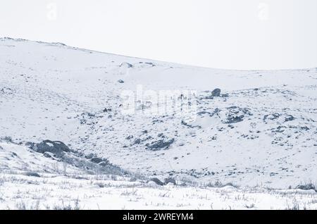 Paesaggio innevato nel parco nazionale di Peneda-Geres. Portogallo settentrionale Foto Stock