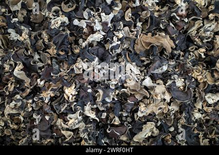 Un mucchio di funghi in legno essiccato (Auricularia auricolare) nel supermercato. Foto Stock